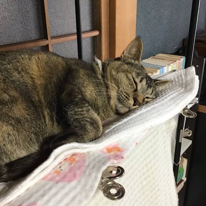 Edfebd6f da7e 4cc4 9441 f4ce35c8bc60 1647827661630