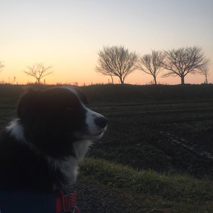 Edfed2b7 fc36 4042 b8dd 4f363769fda6 1579302448277