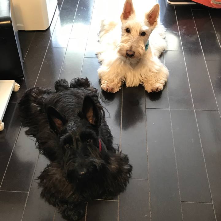 Edff863b 3f02 4467 b3f9 3857f8f50e74 1520315741891