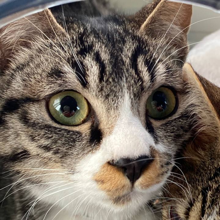 Edffafb6 ab9f 41a2 b28d 68cbcf49518c 1707132101633