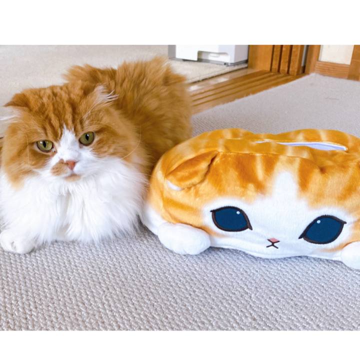 Edffb161 77af 410e ac94 c226c86800ce 1654587890285