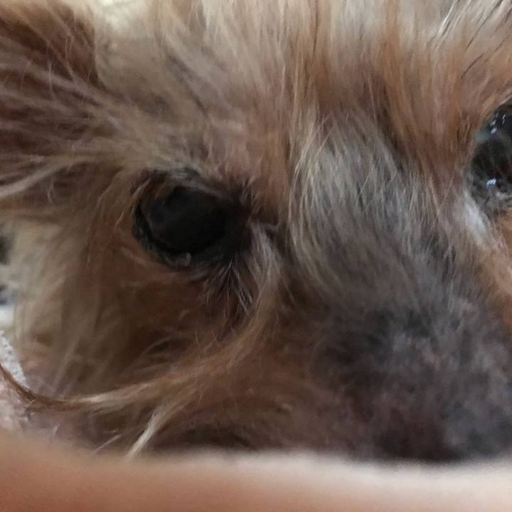 Edffb3a6 c4ac 481a 9f0d 5ed5d748bc6f 1542410453029