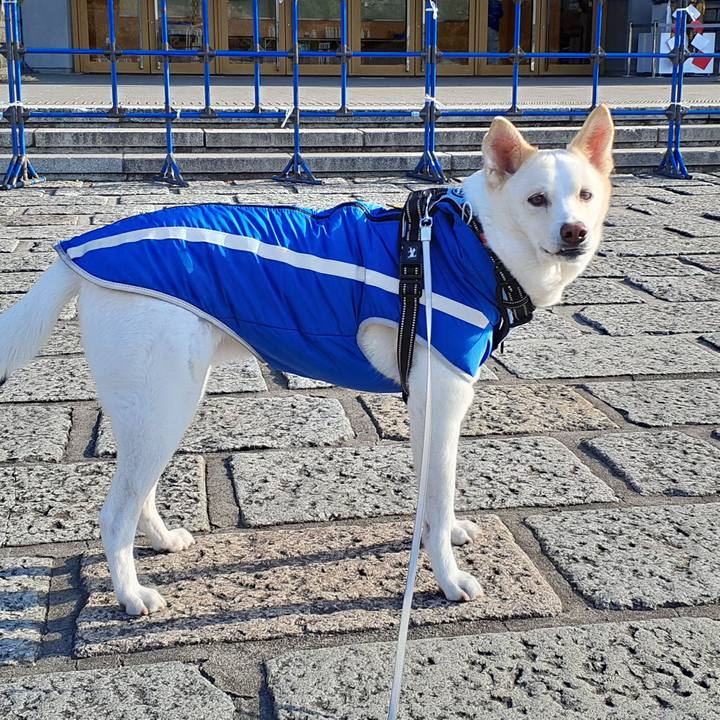 Edffd3ad 6c22 42a6 8c13 443c5eee3fd9 1640940638739