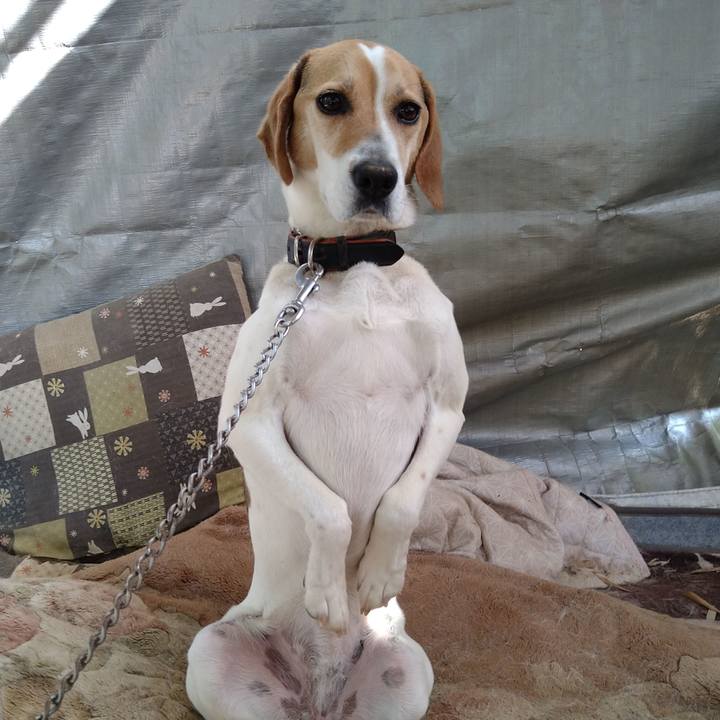 Edfff2a3 6587 4f40 9dc8 b6aabeaf297b 1654319430094