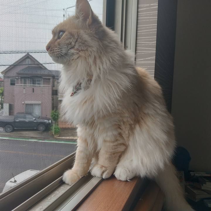 Edfffa6a 6346 4591 a6bc 08c04fe25427 1652502899056