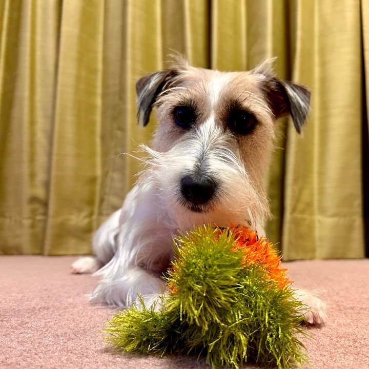 Ee0036d6 1af5 4751 a599 edcb4f053c4e 1704294384582