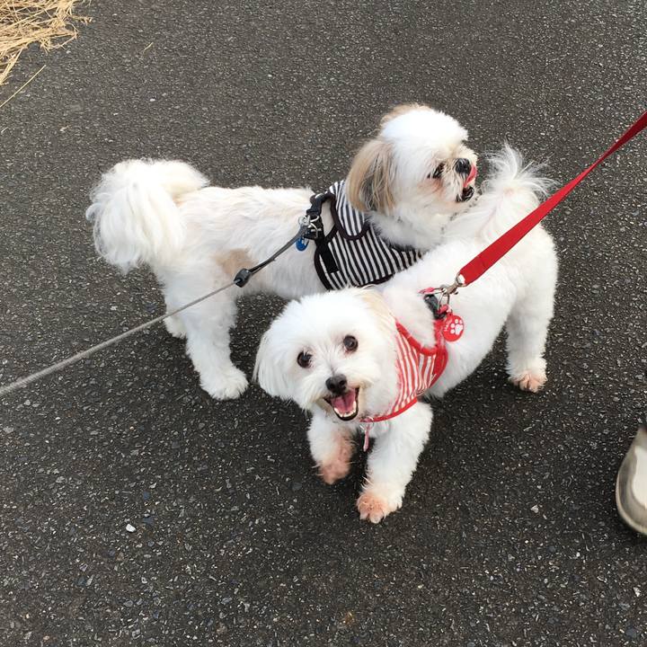 Ee003ade 69a5 49cb ba15 789b791282e5 1599607355321