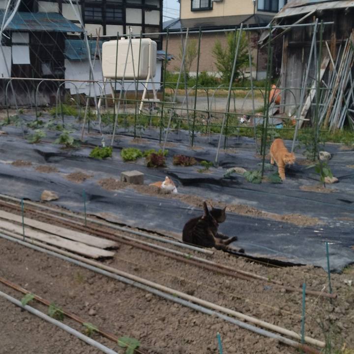 Ee00589f ce70 440f ba3f 496146249633 1748335869679