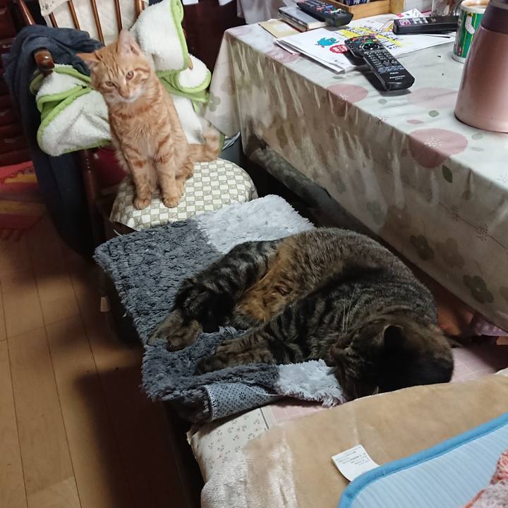 Ee0072d4 38b6 4f44 a20e c725424a1108 1640918055847