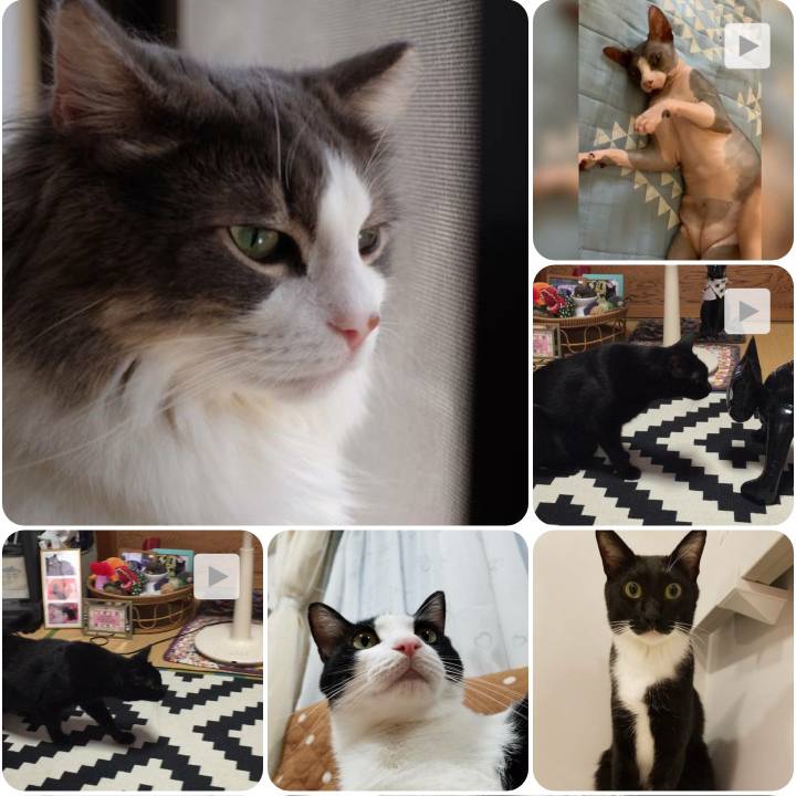 Ee007884 644a 4045 ab1c 28714d06d0c3 1568279136915