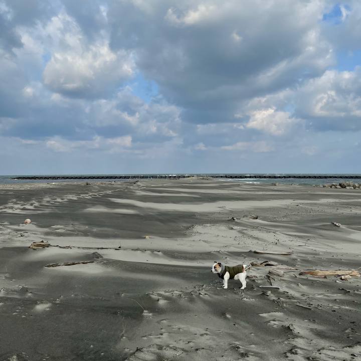 Ee008774 acc4 459d 99a4 d5909b7cf7ee 1613001132771