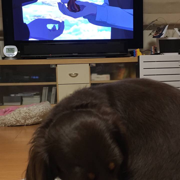 Ee008f8d fcfd 4846 8e66 b81287a16d88 1509798746887