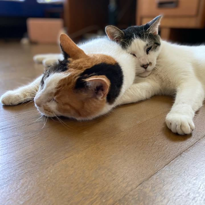 Ee01350d 836e 48fb 8128 2b631c092de3 1628226114739