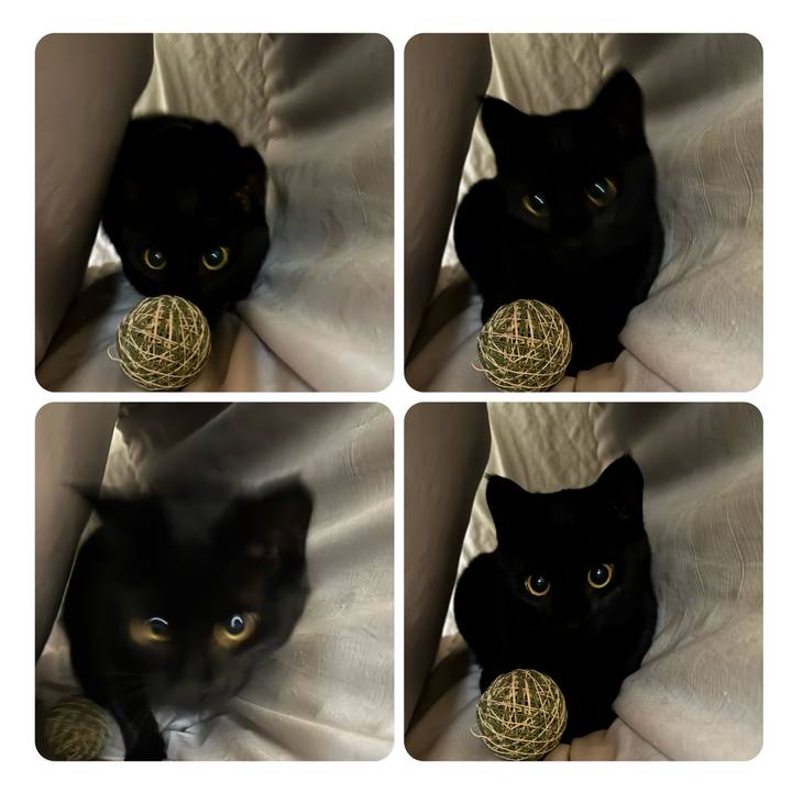 Ee013c24 bf0b 4ba6 ac68 82d13796c637 1741219166009