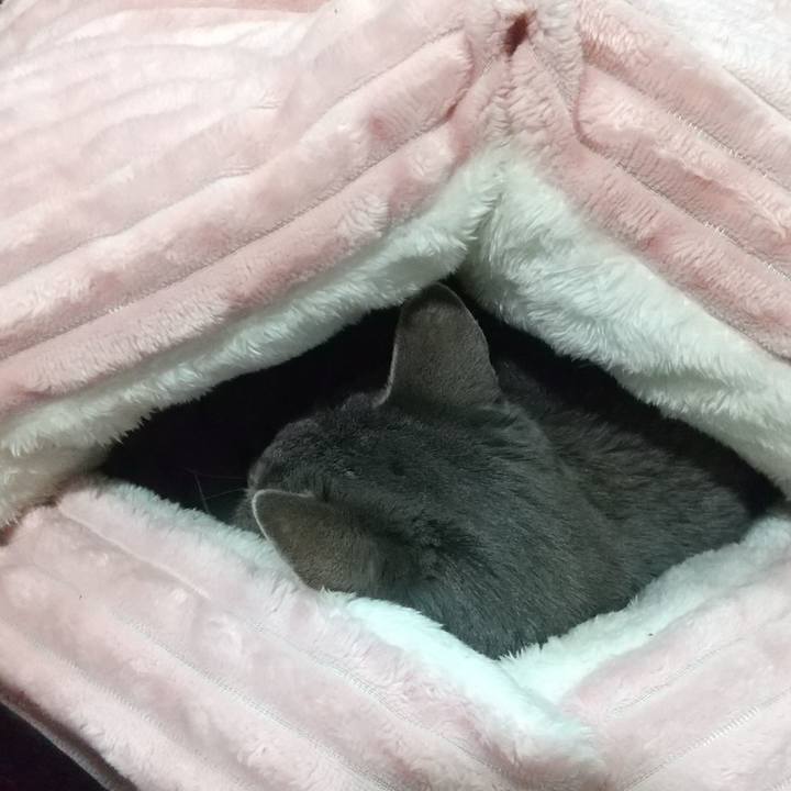 Ee015d1d ca86 43cf a82e 5c578d5fc8f0 1673714613582