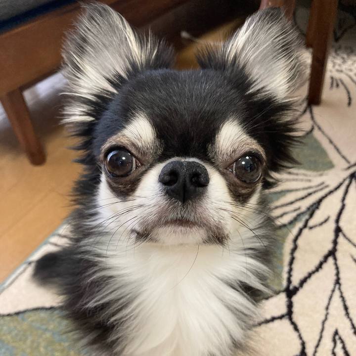 Ee01c8a0 9703 4bd7 8c71 a754806187d2 1621117090991