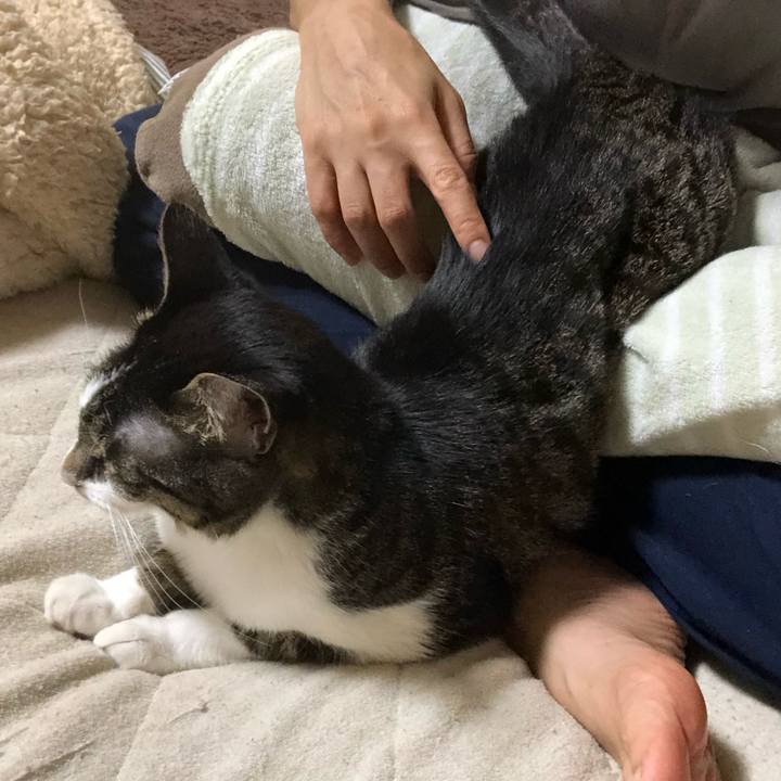 Ee022d5e e6db 4a68 b8ab 1cb2ce6a0e89 1652501684397