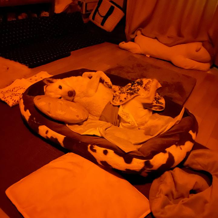 Ee025980 f28f 4d0d 84c8 18a9625cdee9 1668522740984