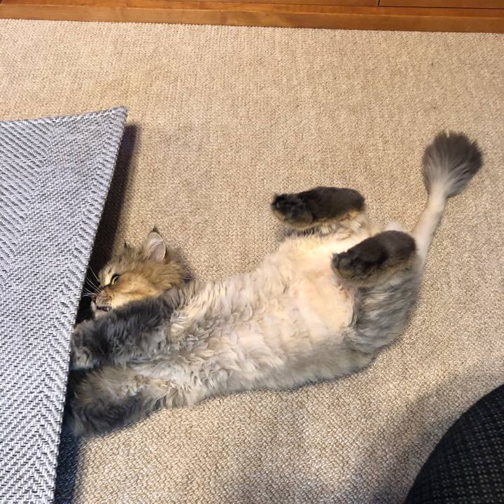 Ee02801c 40c5 417c b0cd b15a36481103 1562115564058