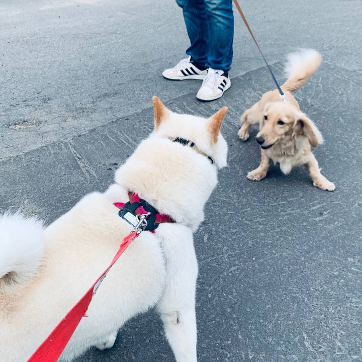 Ee028392 2437 4d9b b44f 2ef77b6b1eb0 1595882736175