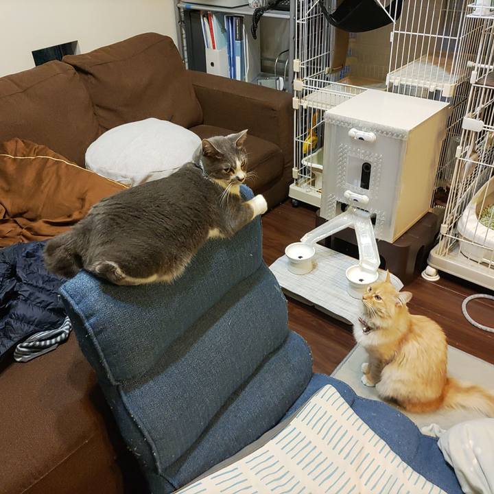 Ee028832 aeac 4234 9371 c1298fabe39c 1668854393457