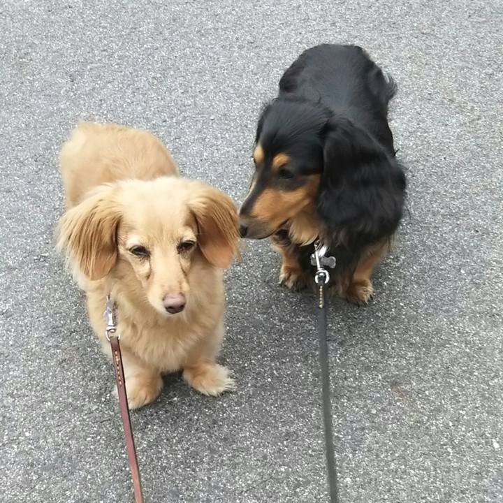 Ee0291eb 56e2 403a bea5 993bc1fb65bb 1594473644395