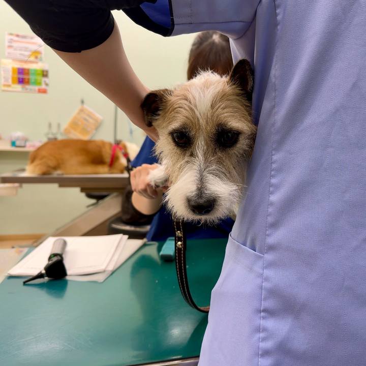 Ee02d2aa 902c 484c 99d3 4c95cbe8c9bd 1735358287168