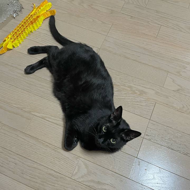 Ee02d62e 799b 415c ad72 0327caa9a38b 1719583659911