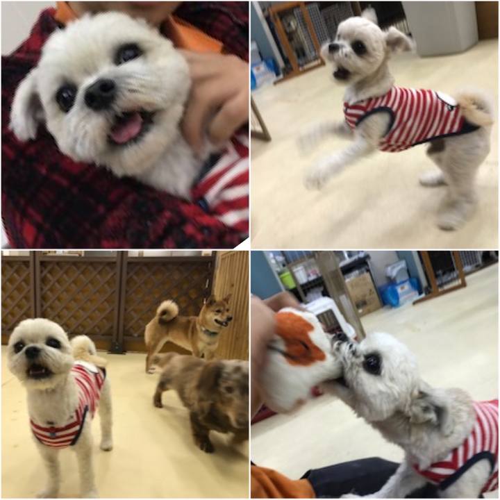 Ee02d95d 1dae 4d71 8a1a 35bb9c1abe88 1525949039511