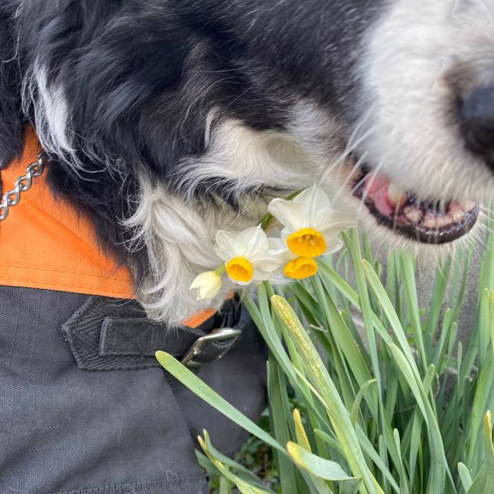 Ee02f444 74b4 436c b7f5 65af150e8358 1613089620143