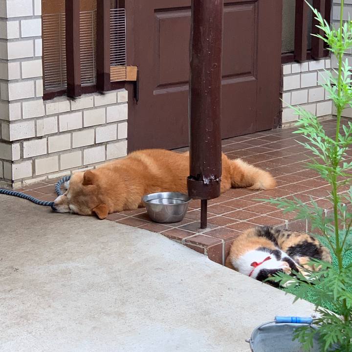 Ee02ff41 c592 4b79 88d3 d28a06d1adc2 1567470044071