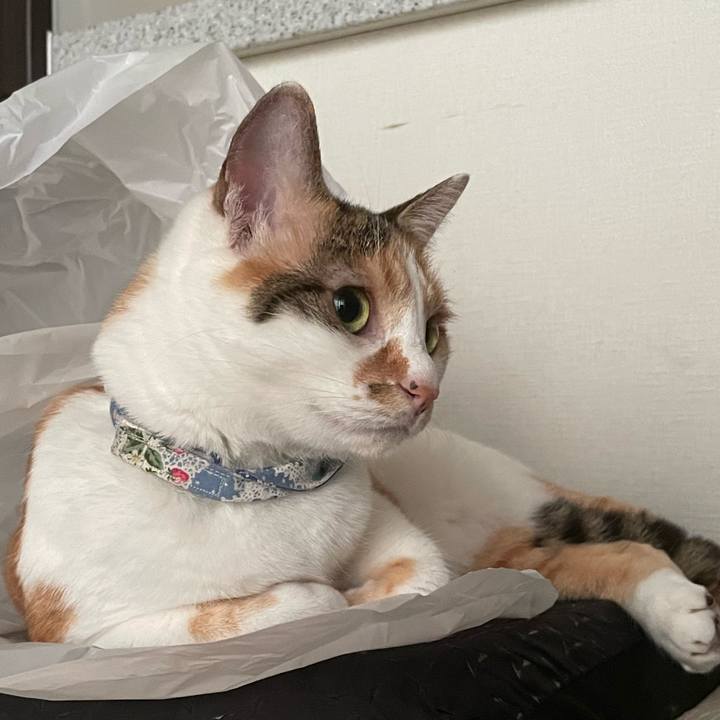 Ee033bb4 58f3 4228 aa8d 562b9a1144cb 1725182201758