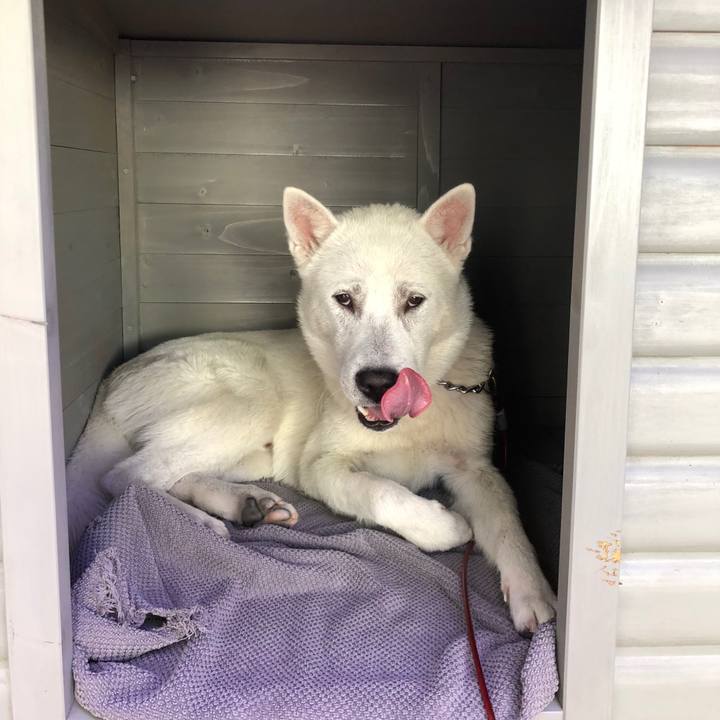 Ee038457 4417 448a a5d2 e1d27e6a3caf 1529640126175