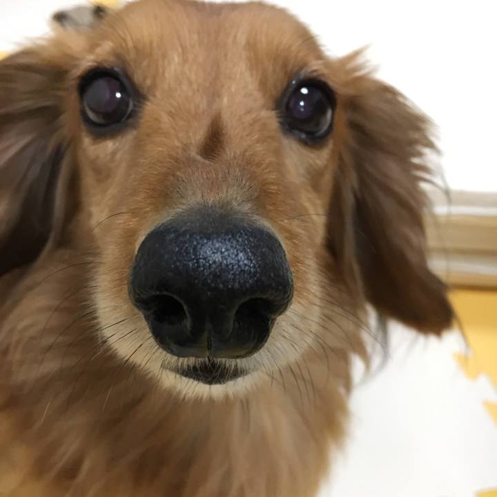 Ee0398f9 ecfd 4c28 bbae eb897b63490f 1523530614128