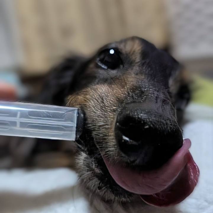 Ee03a99e 08a2 46ad 9a9b b96c54cb1e49 1762225345345