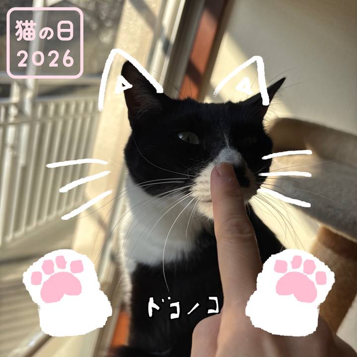 Ee03c497 b210 41b2 a2fe daab8ad8e2b7 1771715453400