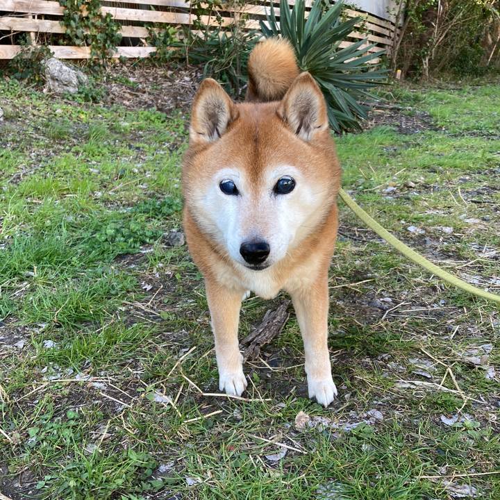 Ee03c771 7787 4a15 b58e 54694614b755 1710979419292