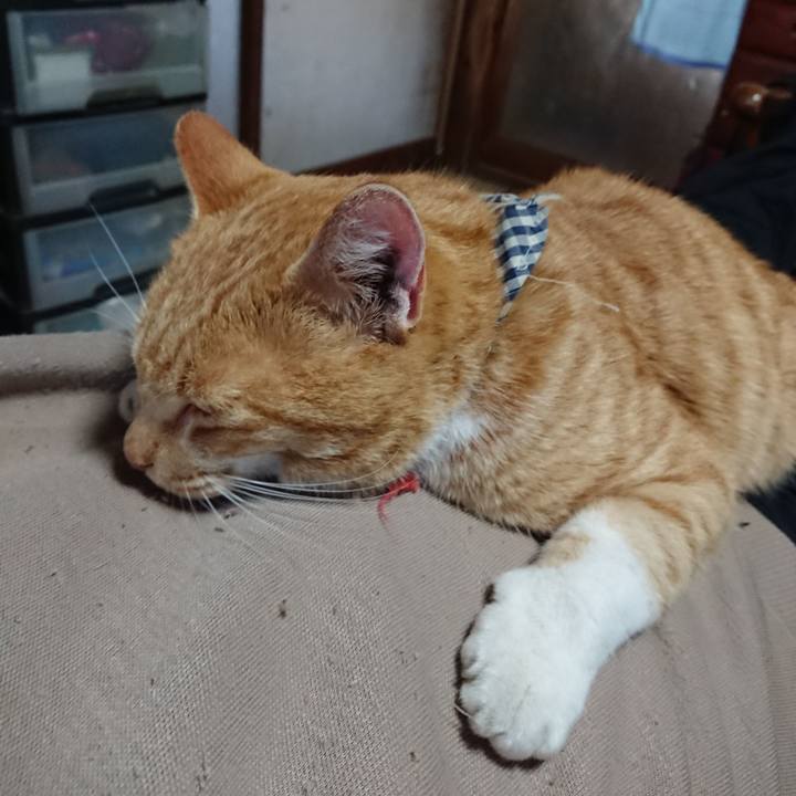 Ee03f333 f9f6 4e10 9a8e 9b477589d6fc 1573964052284