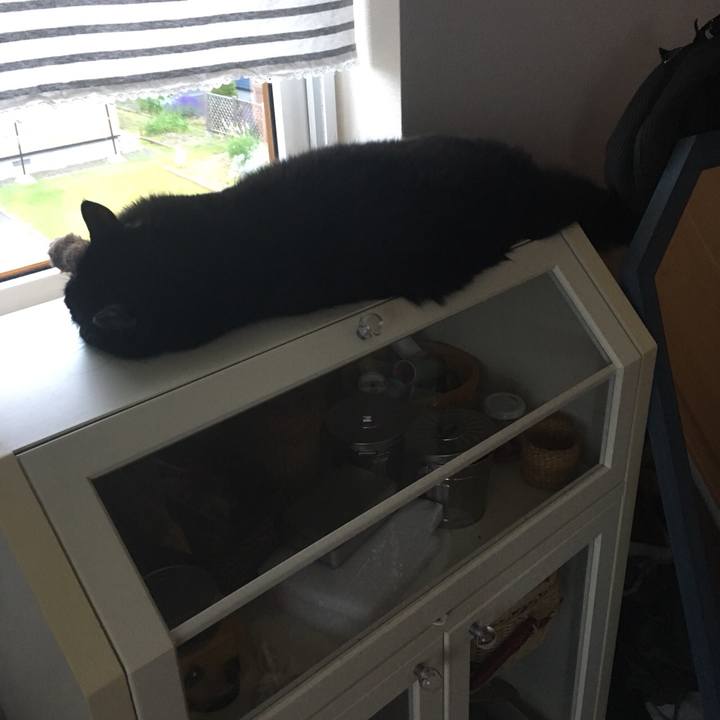 Ee03f59a e2cf 4d21 98f7 123c4e8accd2 1532388747069