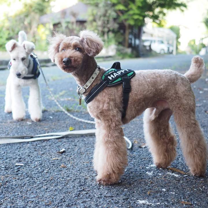 Ee03f812 f29d 43a0 9525 0dc00a6710f4 1591622308378