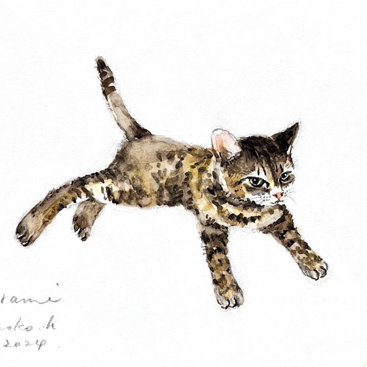 Ee042a40 54a4 451e a0e1 c22c119fb1d4 1726204929282