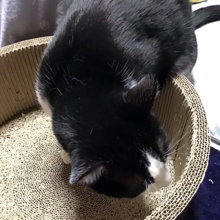 Ee042a87 9e55 445d 89f0 a74c07372c71 1708682235583