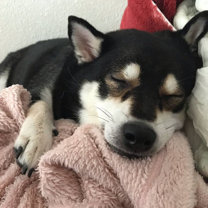 Ee047059 0696 45e7 b8bf d1c3d25db8ed 1565133081381