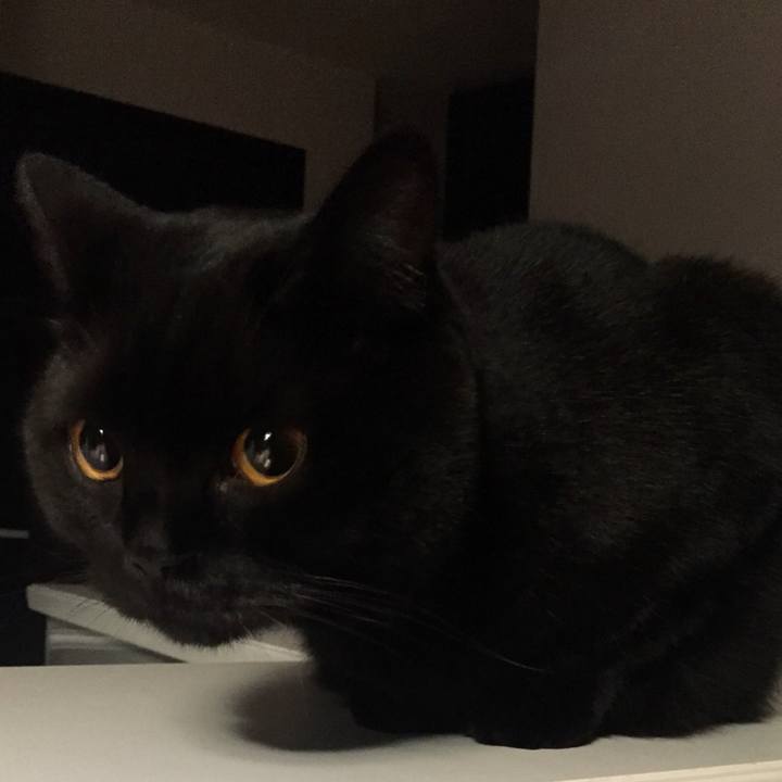 Ee04a69c ccdb 4c17 a8d8 d80a7fab1974 1543654227089