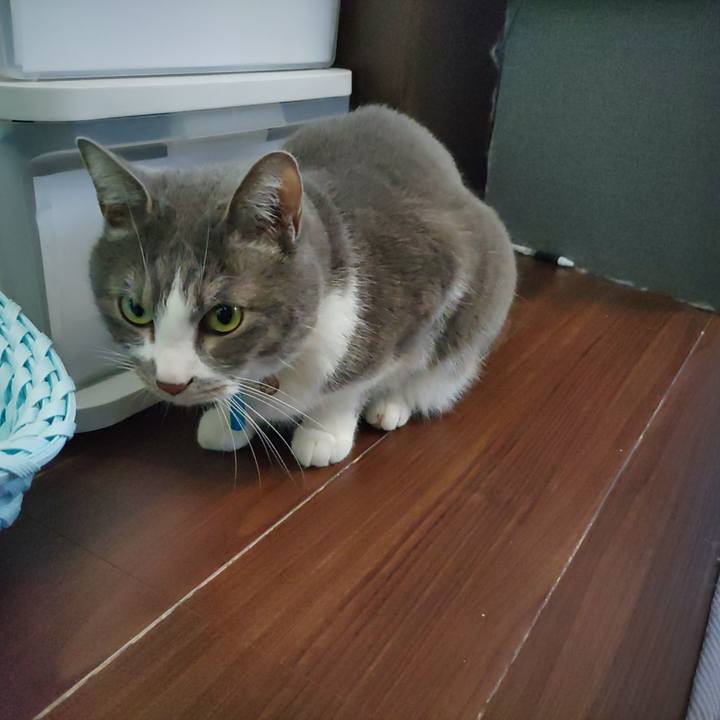 Ee04cd1e 93df 40df a8a2 2e0a5bc62b5e 1681091798300