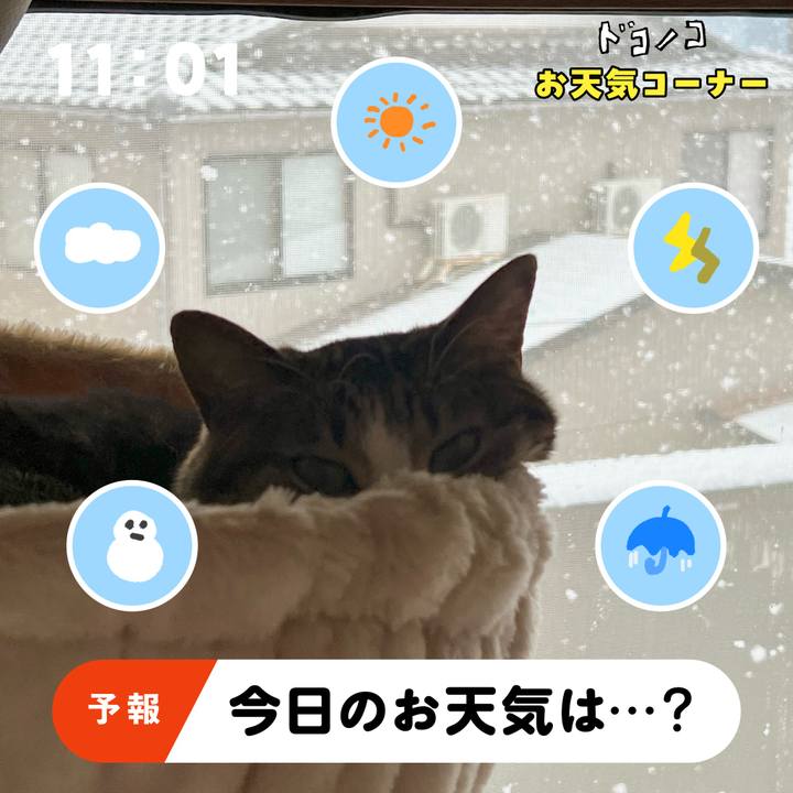 Ee04e1ef 5373 4add bb7d f39d15369246 1781531191940