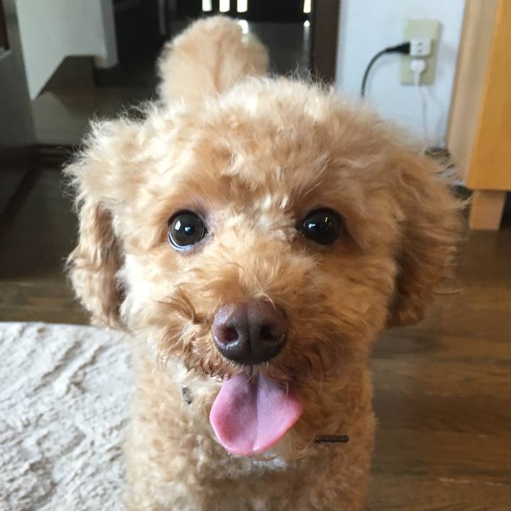 Ee04e65b 285e 4aa4 ace9 d9d7c9282016 1527049607224