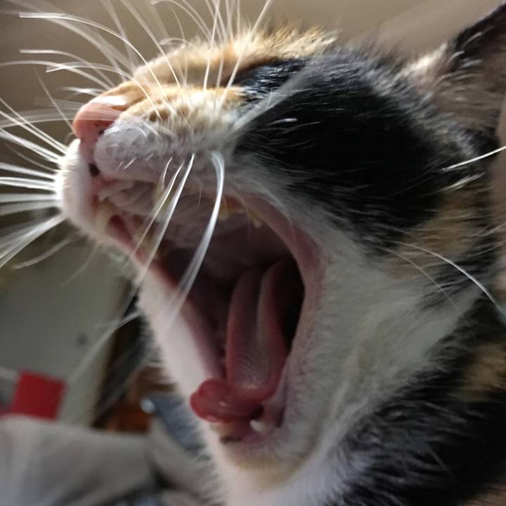 Ee04f449 270e 400d 84c5 97fbb377b066 1511692711635