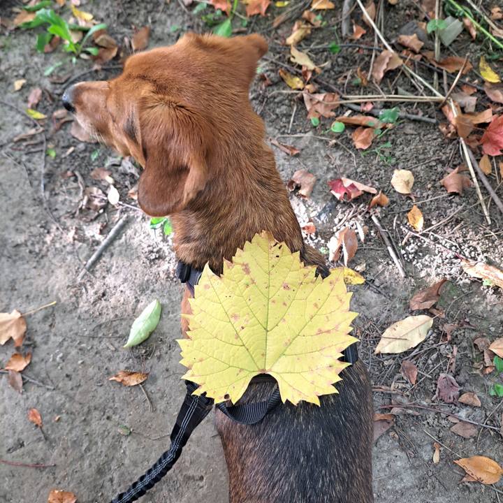 Ee050309 8aa6 4877 a0cb 1b6b8382086c 1760564343316