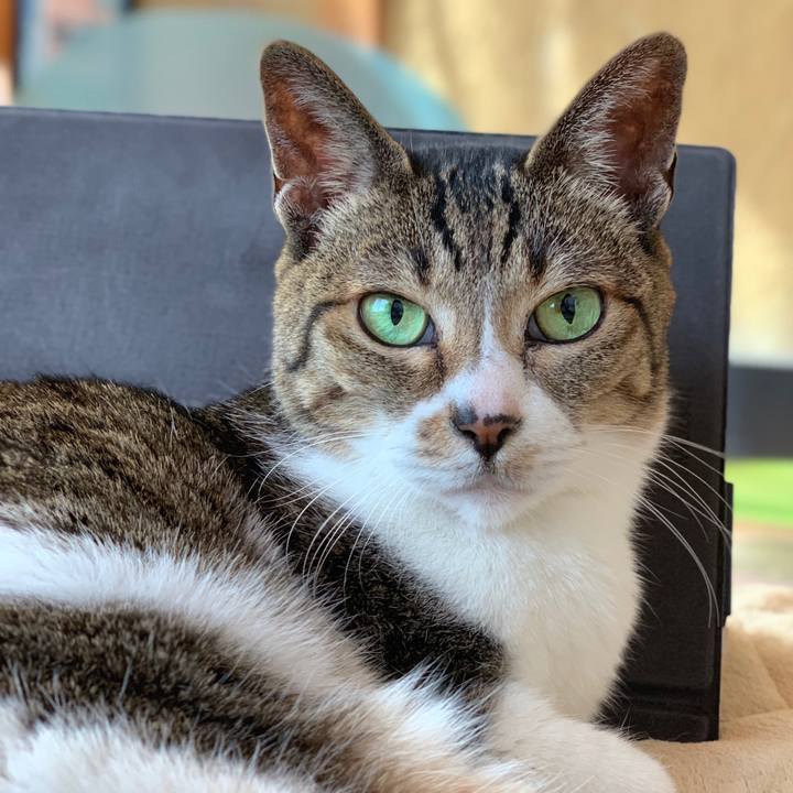 Ee051425 3fa6 4172 98f3 170a8601aaaf 1583718034119